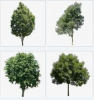 Katalog - 3D Foto-objekty stromů