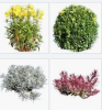 Katalog - 3D Foto-objekty rostlin